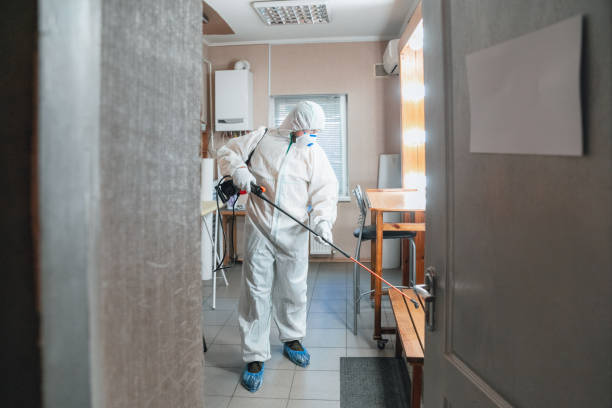 Mold Remediation for Vacation Homes in Flora, MS