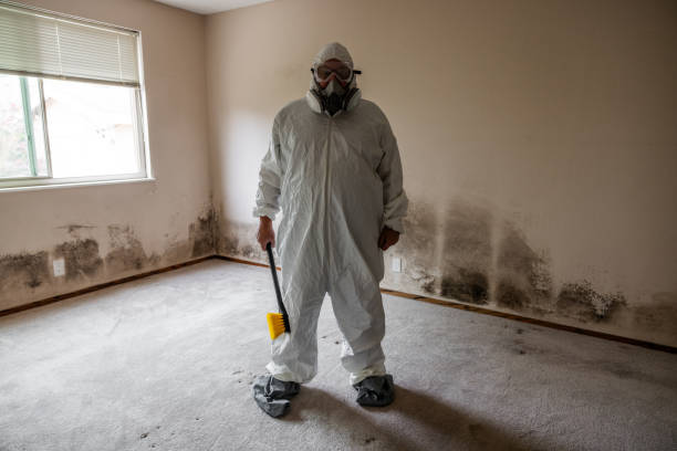 Mold Documentation for Insurance Claims in Flora, MS